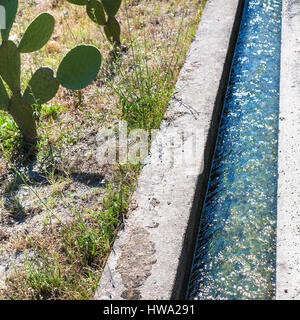 Le tourisme agricole en Italie - cactus et de l'irrigation ditch en Sicile Banque D'Images