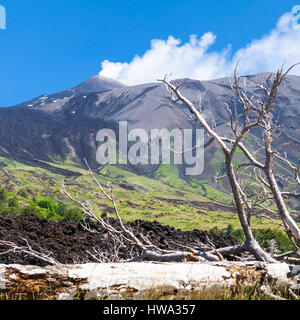 Voyage d'Italie - broken tree lave durcie en courant sur la pente de l'Etna en Sicile Banque D'Images