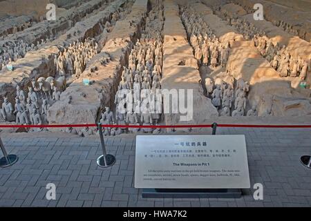 Chine, province du Shaanxi, Armée de terre cuite (dynastie des Qin), Xian armée de guerriers de terre cuite, Close up Vue de dessus de rangs de guerriers portant des armures Banque D'Images