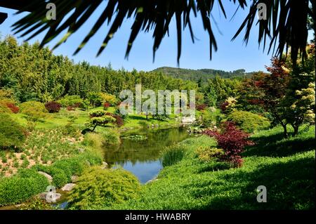 La France, Gard, Anduze, bambou la gorge de PraFrance créée en 1856 appelée Jardin Remarquable, le vallon du Dragon, jardin japonais Banque D'Images