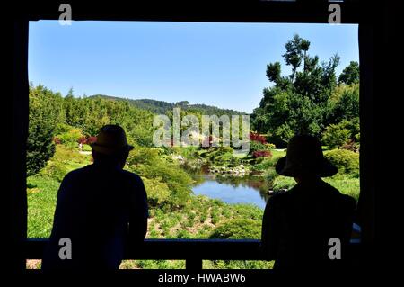 La France, Gard, Anduze, bambou la gorge de PraFrance créée en 1856 appelée Jardin Remarquable, le vallon du Dragon, jardin japonais Banque D'Images