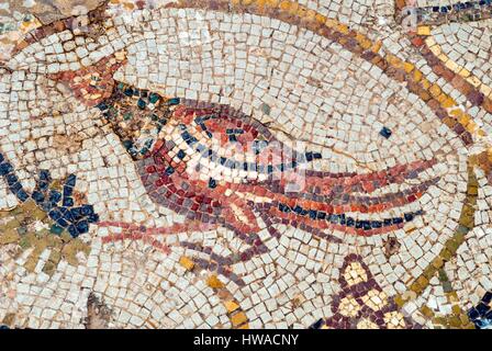 La Tunisie, région du Nord-Ouest, ruines romaines de Bulla Regia, nouvelle maison de chasse, mosaïque, mosaïque d'oiseaux Banque D'Images