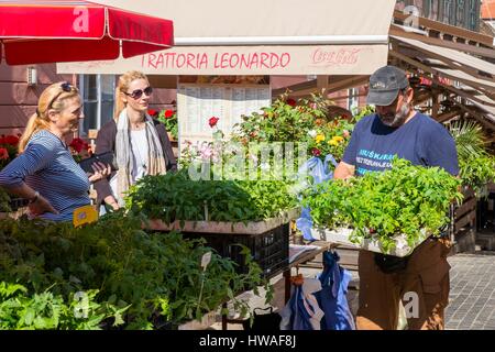 Croatie, Zagreb, quartier Kaptol, Trznica square, le marché Dolac, principales de la ville Banque D'Images