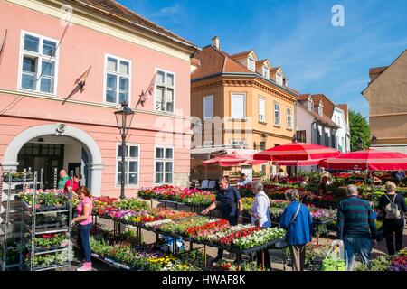 Croatie, Zagreb, quartier Kaptol, Trznica square, le marché Dolac, principales de la ville Banque D'Images