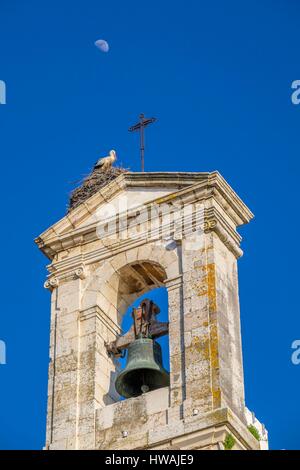 Portugal, Algarve, Faro, vieille ville, les cigognes nichant sur Arco da Vila, arch néoclassique du xixe siècle Banque D'Images