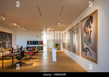 Allemagne, Baden-wurttemberg, Weil am Rhein, Vitra Design Architectural, Campus Vitra Haus, conçu par Herzog et de Meuron, 2010, l'intérieur du détail Banque D'Images