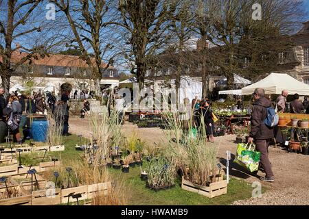 France, Essonne, Saint Jean de Beauregard, Printemps Festival des plantes dans le parc du château, les plantes Exposants Banque D'Images