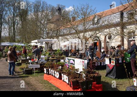 France, Essonne, Saint Jean de Beauregard, Printemps Festival des plantes dans le parc du château, les plantes Exposants Banque D'Images