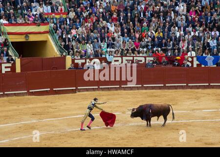 Espagne, Andalousie, Jerez de la Frontera, Jerez Bullring, tuant le taureau par le matador Juan Jose Padilla, Mai 2016 Banque D'Images