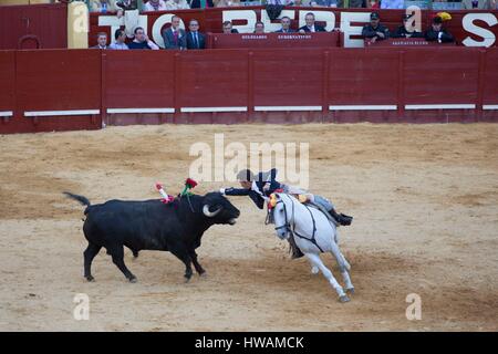 Espagne, Andalousie, Jerez de la Frontera, Jerez Bullring, l'corrida, Mai 2016 Banque D'Images