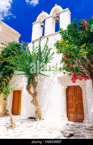 Couchage chats en face d'église sur les rues de Paroikica, l'île de Paros, Cyclades, Grèce Banque D'Images