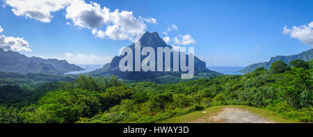 Vue aérienne d'Opunohu, baie de Cook et la lagune en l'île de Moorea. Polynésie Française Banque D'Images