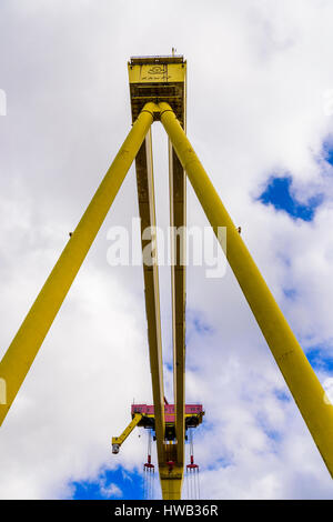 Samson, l'un des deux célèbres grues jaune qui dominent la skyline à Belfast. Banque D'Images