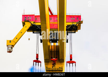 Samson, l'un des deux célèbres grues jaune qui dominent la skyline à Belfast. Banque D'Images