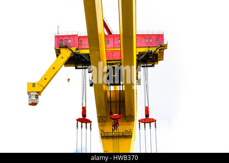 Samson, l'un des deux célèbres grues jaune qui dominent la skyline à Belfast. Banque D'Images