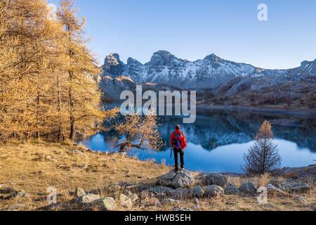 France, Alpes de Haute-Provence, parc national du Mercantour, Haut-Verdon, walker en contemplant le lac d'Allos (2226 m), dans l'arrière-plan Tours du Lac Banque D'Images