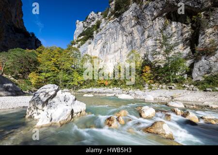 France, Alpes de Haute-Provence, parc naturel régional du Verdon, le Grand Canyon du Verdon, la rivière du Verdon dans l'entrée du couloir Samson, depuis le sentier Blanc-Martel sur le GR4 Banque D'Images