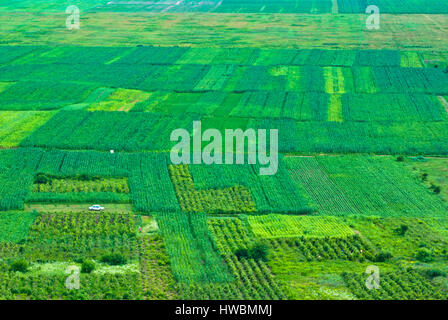 Vue aérienne de la scène agricole rural Banque D'Images