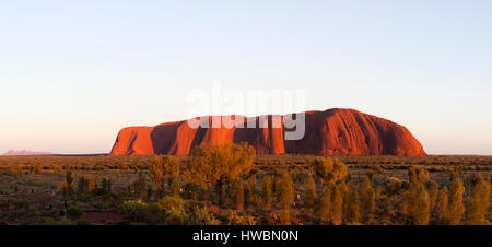 Lever du soleil sur Uluru, le Parc National d'Uluru-Kata Tjuta, Territoire du Nord, Australie Banque D'Images