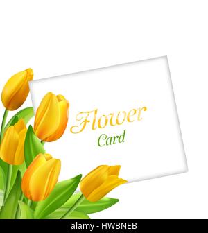 Nature Fleur Carte avec Tulipes, Invitation pour la Journée des femmes Illustration de Vecteur