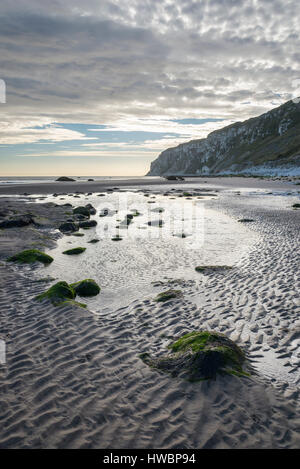 Speeton sands et falaises de Bempton à l'extrémité sud de la baie de St Francis Bay, North Yorkshire, Angleterre. Banque D'Images