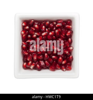 Les arilles de grenade dans un bol carré isolé sur fond blanc Banque D'Images