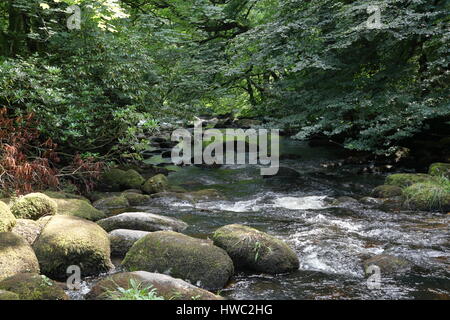 L'eau qui coule à travers les roches des cours d'eau dans la rivière Dart à Dartmeet près de Ashburton Devon UK Banque D'Images