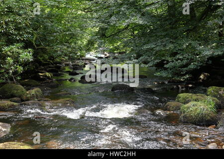 L'eau qui coule à travers les roches des cours d'eau dans la rivière Dart à Dartmeet près de Ashburton Devon UK Banque D'Images