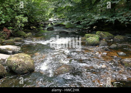 L'eau qui coule à travers les roches des cours d'eau dans la rivière Dart à Dartmeet près de Ashburton Devon UK Banque D'Images