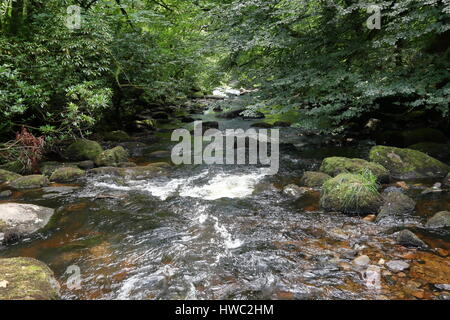 L'eau qui coule à travers les roches des cours d'eau dans la rivière Dart à Dartmeet près de Ashburton Devon UK Banque D'Images