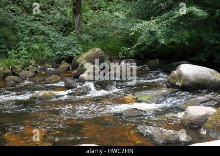 L'eau qui coule à travers les roches des cours d'eau dans la rivière Dart à Dartmeet près de Ashburton Devon UK Banque D'Images