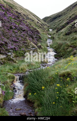 Ruisseau de montagne passant par Birchin Clough près de Snake Pass, parc national de Peak District Derbyshire UK Banque D'Images
