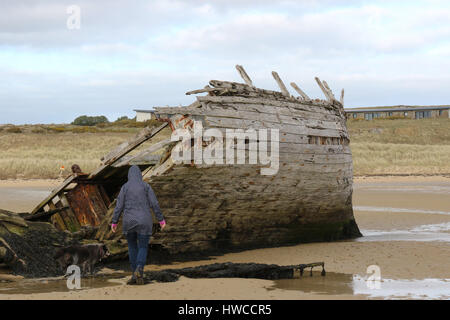 L'épave d'un bateau de pêche en bois à Bunbeg, comté de Donegal, Irlande. L'épave est connu comme mauvais Eddie's (bateau de pêche). Banque D'Images