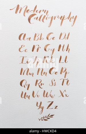 Calligraphie latine dessinés à la main, brosse de script. calligraphical lettres de l'alphabet anglais. Lettres de l'alphabet écrit avec un pinceau Banque D'Images