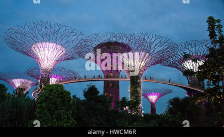 Vue panoramique horizontal (2 photo stitch) vue de l'Supertree grove de nuit à Singapour. Banque D'Images