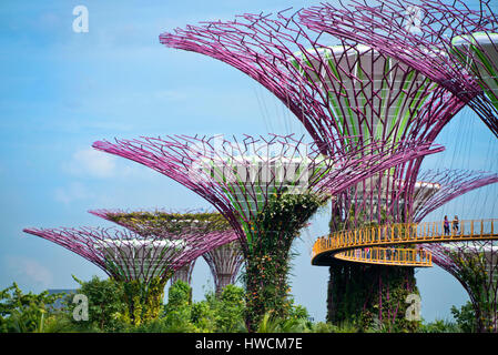 Vue horizontale de personnes marchant sur l'OCBC skyway au Gardens by the Bay à Singapour. Banque D'Images