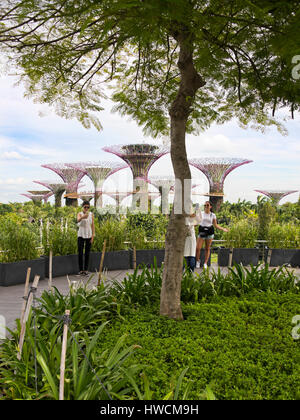 Vue verticale de personnes faisant autoportraits à l'Supertrees dans les jardins, près de la baie de Singapour. Banque D'Images
