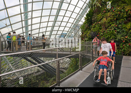 Vue horizontale de l'intérieur à la montagne Nuage toursits Gardens by the Bay à Singapour. Banque D'Images