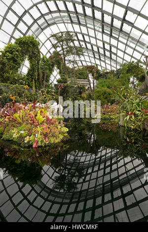 Vue verticale à l'intérieur de la montagne de nuage dans les jardins de la baie de Singapour. Banque D'Images