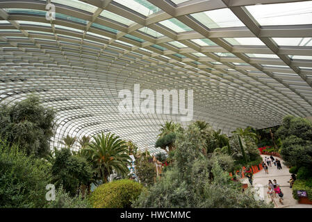 Vue aérienne de l'horizontale Dome fleur dans les jardins de la baie de Singapour. Banque D'Images