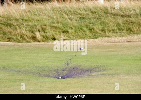 Oeufs VIOLET VERT SUR LE VERT DU 18E OPEN 2006 ROYAL LIVERPOOL GOLF CLUB HOYLAKE 23 Juillet 2006 Banque D'Images