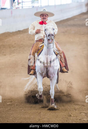 GUADALAJARA , Mexique - SEP 01 : Charro participe à la 23e International Mariachi Charros & festival à Guadalajara au Mexique, le 01 septembre 2016 Banque D'Images