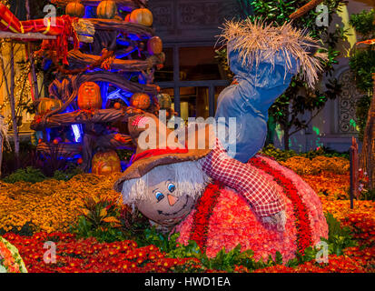 LAS VEGAS - NOV 08 : saison d'automne en véranda de l'hôtel Bellagio & Botanical Gardens , le 08 novembre 2016 à Las Vegas. Il y a cinq thèmes saisonniers Banque D'Images