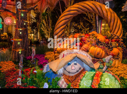 LAS VEGAS - NOV 08 : saison d'automne en véranda de l'hôtel Bellagio & Botanical Gardens , le 08 novembre 2016 à Las Vegas. Il y a cinq thèmes saisonniers Banque D'Images