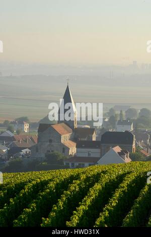 France, Marne, Sacy, montagne de Reims, les vignobles de Champagne dans la brume du matin avec un village en arrière-plan Banque D'Images
