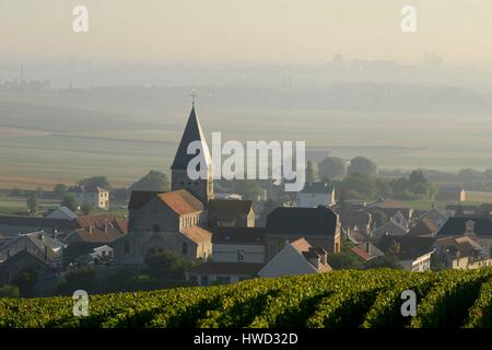 France, Marne, Sacy, montagne de Reims, les vignobles de Champagne dans la brume du matin avec un village en arrière-plan Banque D'Images
