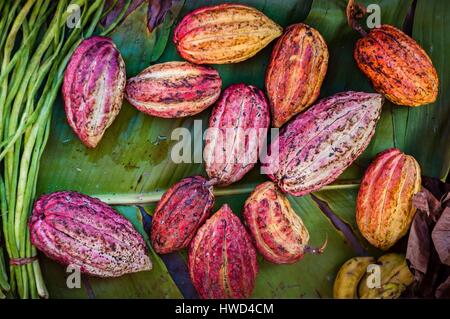 L'île de Mahé, Seychelles, Victoria, Sir Selwyn Clarke market, les cabosses de cacao sur des feuilles de banane Banque D'Images