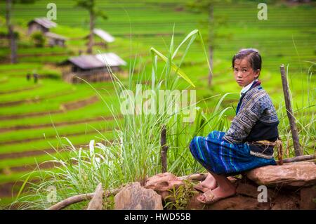 Vietnam, montagne de Hoang Lien Son, village de Tu Le vert, fille de H'Mong en vêtements traditionnels, les terrasses de riz de l'arrière-plan Banque D'Images