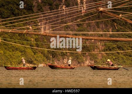 Vietnam, golfe du Tonkin, la province de Quang Ninh, des pêcheurs sur leurs bateaux dans la baie de Ha Long (Vinh Ha Long) inscrite au Patrimoine Mondial de l'UNESCO (1994) Banque D'Images