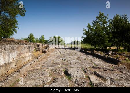 La Grèce, Macédoine centrale, région, Dion Dion, ancienne ville de ruines à partir de la 4ème siècle avant J.-C. Banque D'Images